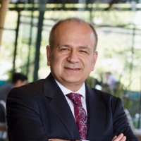 Renan G Bucheli