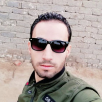 Sayed El-Mohamady