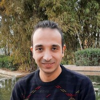Hany Gergis