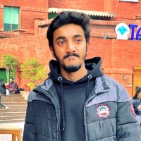 Hammad Ameer