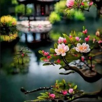 Tran Huynh Diem Hang