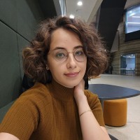 Hanieh Erfanian