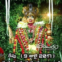 Kadapa King
