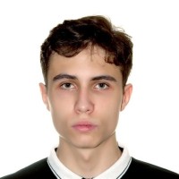 Nikita Bichenov