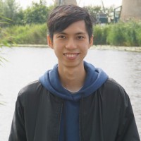 Luong Vi Long