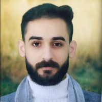 Fayez Swali