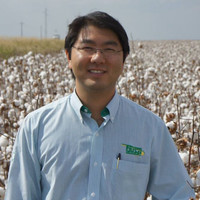 Fernando Maeda