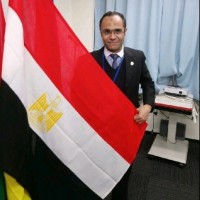 Adel Amin