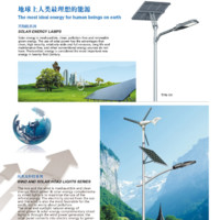 杨世东