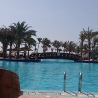 Ahmed Elsayed