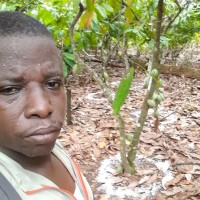 CHARLES YAPI