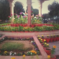 Sandesh Yadav