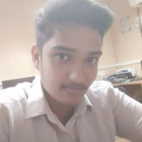 Vignesh J