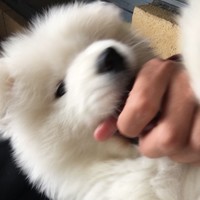 万长征