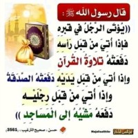 Mohammed Senhaji