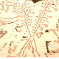 Sidsel Heng Walaunet