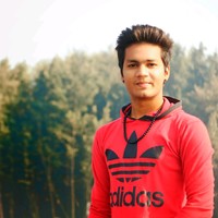 vikas Sirvi
