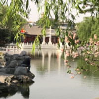 胡婷萍