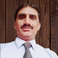 Saleem Shahzad