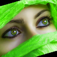Daina D'souza