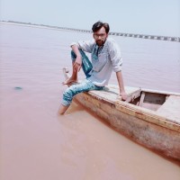 Hamza Ameer