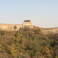 陈官龙