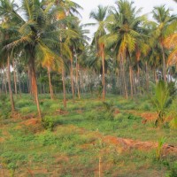 Gaurav Babbar