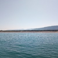 m V.