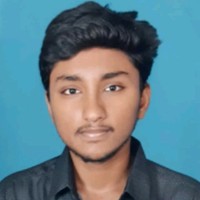 Koushik P