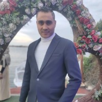 Alaa Mohamed