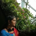 Ambica Motaparthi