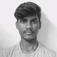 KAUSHIK T