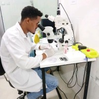 Melaku Petros