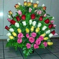 Gloria Castaño Torres