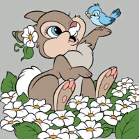 Walaa Abdelnaser