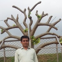 Asadus Zaman