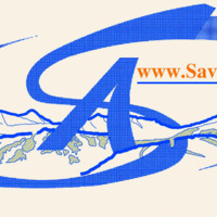 Adam Savage, Assoc. AIA, ABA
