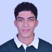 Nasr Eddine Drissi