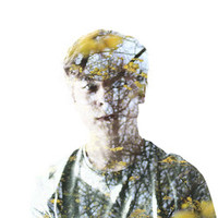 Jack Hauxwell