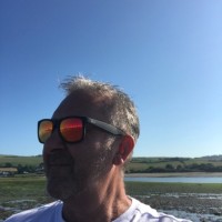 Andrew Steer