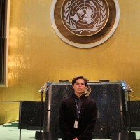 Hans David Viteri Schönberger