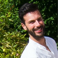 Luís Vieira