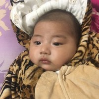 王本元