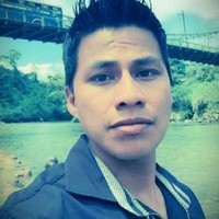 hamilton vega a