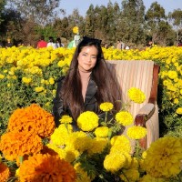 Karen Liliana Ulloa Romero