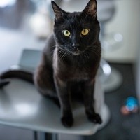 Dev Test Thomas