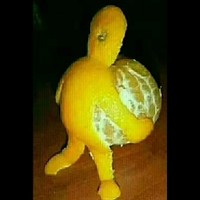 冯素敏