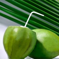 Fresh Coconut Suppliers