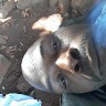 Sydney Tebogo
