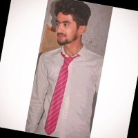 Wajahat Salim